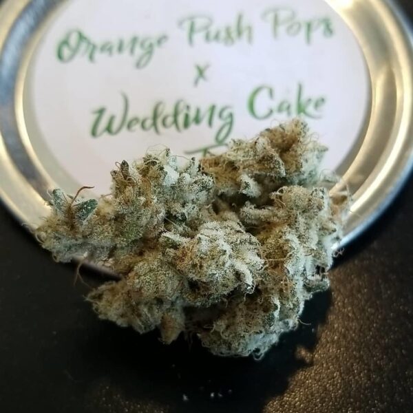 American ReLeaf CRAFT Orange Push Pops X Wedding Cake Hybrid