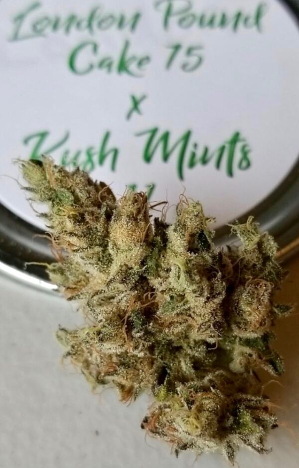 American ReLeaf CRAFT London Pound Cake X Kush Mints Indica